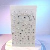 Kit De Clips Magnéticos Para Pestañas Postizas 2 Pares