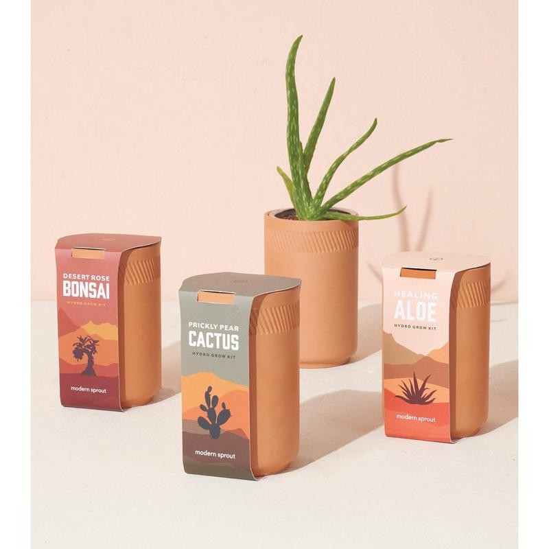Modern Sprout Terracotta Grow Kits - Plant Type: Coastal Palm