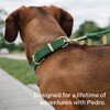 Scout Supply Classic Leather Dog Leash | Strong Heavy Duty