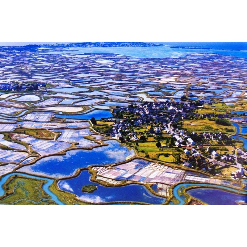 Sel De Guerande Celtic Sea Salt Fine Shaker 250g