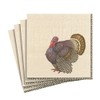 Caspari Turkey Thomas T. Byrd Paper Luncheon Napkins, Four Packs