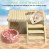 kathson Hamster Sand Bath Box Transparent Acrylic Small Syrian Hamster
