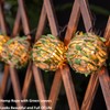 Decorative Lantern String Lights, Outdoor Plug in Hanging Lights with