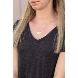 Hamster Necklace - IBD - Guinea Pig Rodent Pet Lover Jewelry - Personalize Name Date - Pendant Size Options - Sterling Silver 14K Rose Gold Filled