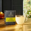 Taylors of Harrogate Herbal Tea Variety Pack, Individually Wrapped Bags,