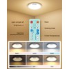 BLNAN Rechargeable Motion Sensor Ceiling Light with Remote, Dimmable Closet
