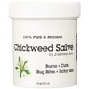 Essential Bliss Chickweed Salve 4OZ * 100% Pure * All