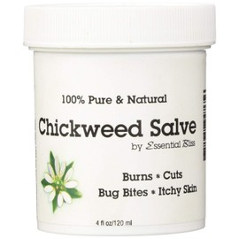 Essential Bliss Chickweed Salve 4OZ * 100% Pure * All Natural Organic No Additives * Soothing Anti Itch Cream * Provides Relief from Dry Skin