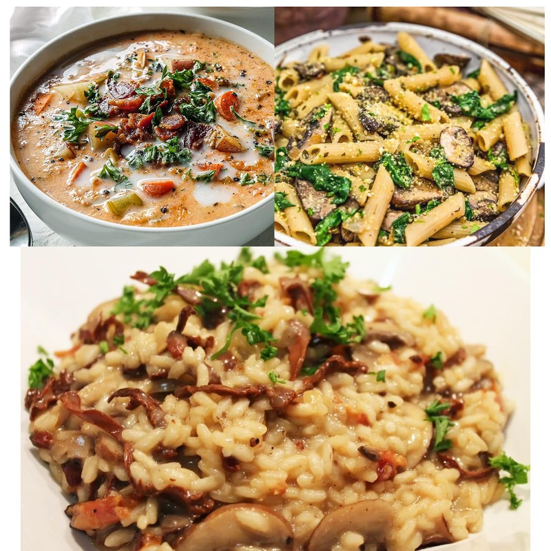 VIGOROUS MOUNTAINS Dried Mixed Mushrooms Blend Including Porcini Shiitake Oyster