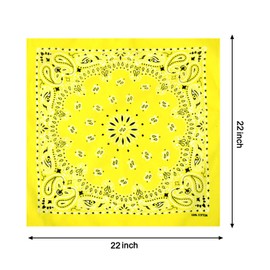 2 Pack Types of Paisley Pattern Bandanas, 22x22 Inches Cotton Bandanas Handkerchief Face Mask for Men & Women (Yellow-2 Pack)