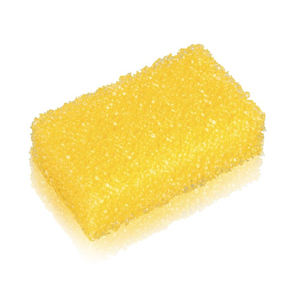 Nigrin 71502 Insect Sponge