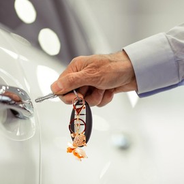 LICHENGTAI Goldfish Keyring Bling Crystals Rhinestone Key Ring Charm Pendant Elegant Keychain Ornament Key Ring Handbag Accessories Gift for Girls Women Ladies, gold