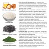 Vitamol Biosoft Anti-Aging Anti-Falten Rekonstituierende Gesichtscreme – Normale oder trockene