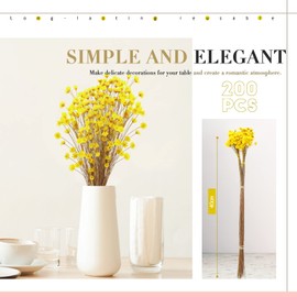 200 Pcs Natural Dry Flowers Yellow Mini Star Daisy Dried Flowers Dried Daisy Flowers Decorative Dried Flowers Mini Daisy Chamomile Bouquet for Wedding Floral Arrangements Decorations