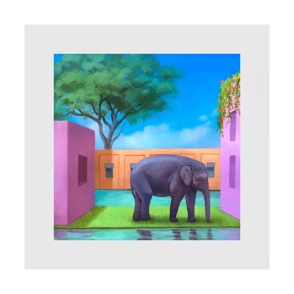 Universal Import Various Artists - Elephant In The Room /