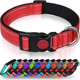 Taglory Reflective Dog Collar with Safety Locking Buckle, Adjustable Nylon Pet Collars for Large Dogs Female Male, Red, L