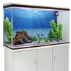 AWERT Undersea Theme Aquarium Background Sunshine Underwater World Fish Tank