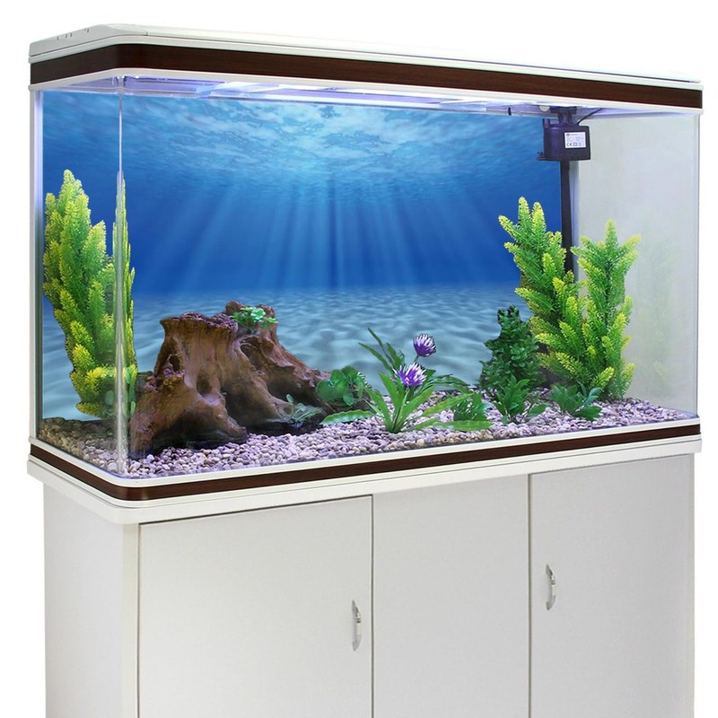 AWERT Undersea Theme Aquarium Background Sunshine Underwater World Fish Tank