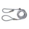 Martha Stewart Braided Rope & Leather Slip Lead for Dogs,