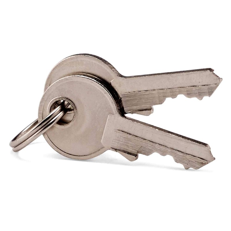 Samsonite Travel Sentry 2-pack Key Locks, Brass, 2-Pack
