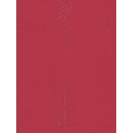Pacon Sunworks Construction Paper (Holiday Red) - 12 In. x 18 In.