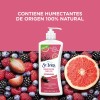 St. Ives Crema Corporal Vitamina C Y Frutos Rojos 532
