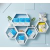 K낙산균 포스트바이오틱스 리얼 모유유산균 프롤린 30포, 6개 K Naksan Probiotics