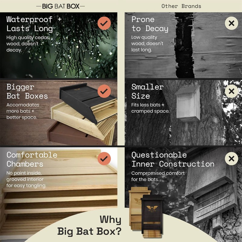 Bat House for Outdoors - The Complete Bat Box for