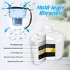 Tujoe 4 Pcs Alkaline Water Filter Replacement Alkaline Water Pitcher