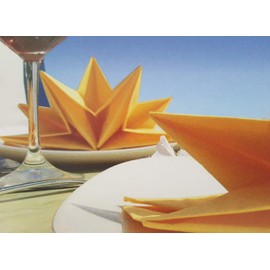 Napkins Venezia, colour: pink, pre folded, Contains pro packing: 12 Pieces, Star shape, Table decoration, Party, Easter, Wedding, Christmas, Christening, Anniversary
