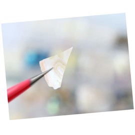 minkissy 2 Pack Manicure Kit Abalone Shell Caviar Flakes and Nail Art Decor Natural Shell Flake for Women's DIY Nails