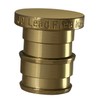 XFITTING Pex A 1/2 Inch Plug End Cap, 29-3-5=2XX, 2