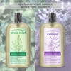 Everyday Aromatherapy Body Wash Duo | Eucalyptus Mint and Lavender