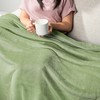PAVILIA Sage Green Fleece Throw Blanket for Couch, Light Olive
