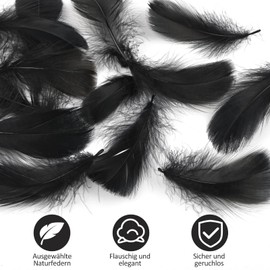 SUNRIZ Natural Feathers 8-12 cm, Pack of 300, Feather for Crafts, Wedding Decoration, Carnival, Easter, Masks, School Crafts
