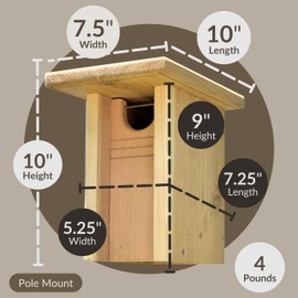 DutchCrafters Gillwood Bluebird Cedar Wood Nest Box, Outdoor Nesting Box for Birds, Wooden Bird House, Pole Mount Birdhouse for Outside - Amish Made in USA