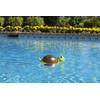 Poolmaster Swimming Pool Chlorine Dispenser, Turtle
