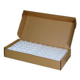 Guardhouse Guardhouse Direct Fit Capsule 19mm for US and Canada Small Cent 250 Count