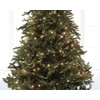 Lumineo Basic Classic Warm Fairy Lights – 40 LEDs –