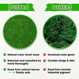 Duspro DUSPRO Green Moss for Crafts, Forest Moss Potted Plants, Decorative Moss for Table Centerpieces Wedding Christmas Fairy Party Decor, Green Moss for Indoor Planters, DIY Project 5 Oz