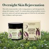 Napiers Speedwell Ageless Night Cream - Anti-Aging & Wrinkle Reduction