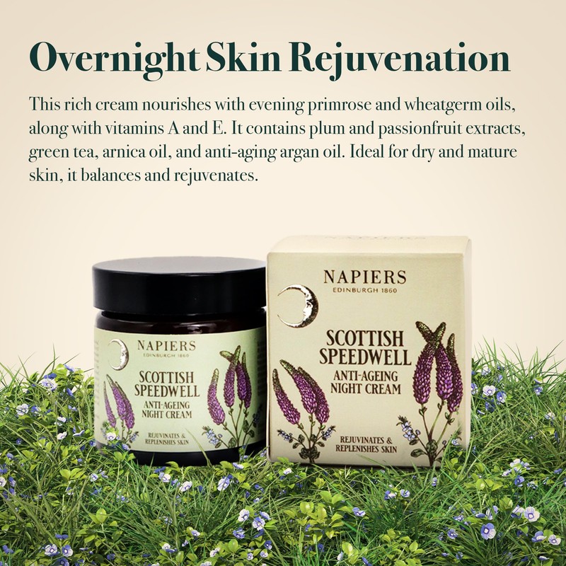 Napiers Speedwell Ageless Night Cream - Anti-Aging & Wrinkle Reduction