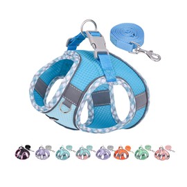 AIITLE Dog Harness and Leash Set, No Pull Step in Puppy Harness with Super Breathable Mesh, Adjustable Reflective Puppy Essentials for Outdoor Walking, Training for Small Dogs, Cats Blue XS