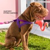 EzyDog Quick Fit Dog Harness – No Pull Harness For