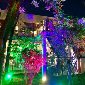 GLW 10W Low Voltage Landscape Lighting RGB Color Changing LED Landscape Lights Remote Control Waterproof Garden Patio Spotlight Decorative Lamp for Outdoor Indoor(8 Pack/NO Plug)