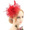 DRESHOW Fascinators Hat Feather Headband Women's Fascinators Tea Party Headwear