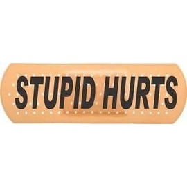(x3) 3 inches Fridge Magnets | Auto Magnet, Window Magnet, Stupid Hurts Bandaid - Magnet Graphic - Construction Toolbox, Hardhat, Lunchbox, Helmet, Mechanic & More