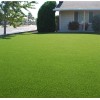 Semilla De Pasto 1kg =30m2 Sol Y Sombra Para Alto