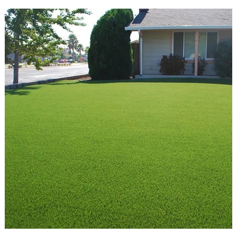 Semilla De Pasto 1kg =30m2 Sol Y Sombra Para Alto