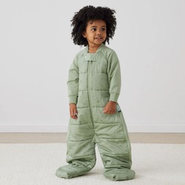 ErgoPouch Sleep Suit Bag 2.5 Tog - Willow, 2-4 Years